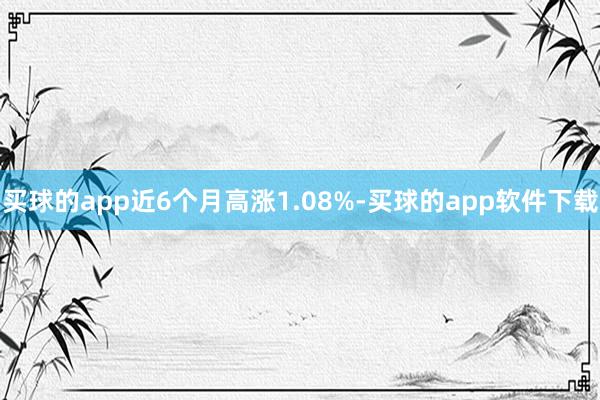 买球的app近6个月高涨1.08%-买球的app软件下载