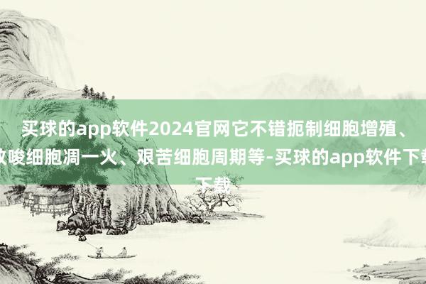 买球的app软件2024官网它不错扼制细胞增殖、教唆细胞凋一火、艰苦细胞周期等-买球的app软件下载