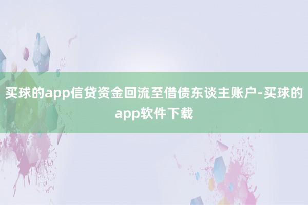 买球的app信贷资金回流至借债东谈主账户-买球的app软件下载