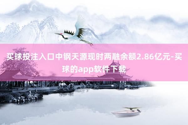 买球投注入口中钢天源现时两融余额2.86亿元-买球的app软件下载