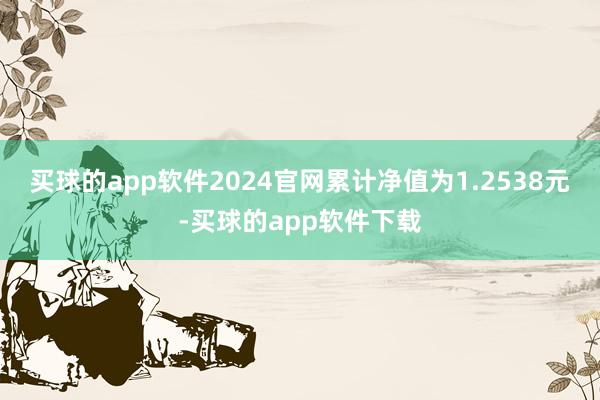 买球的app软件2024官网累计净值为1.2538元-买球的app软件下载