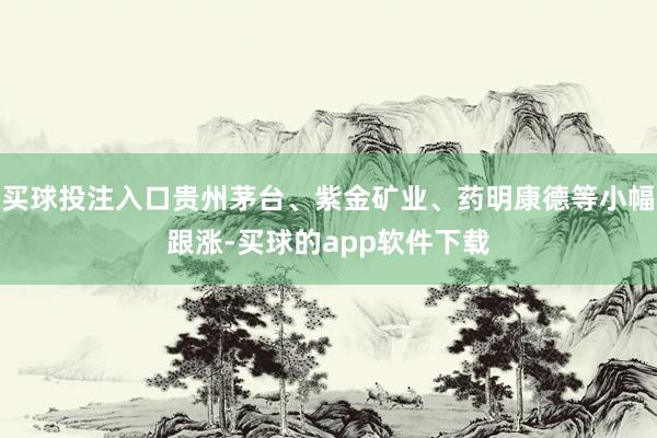 买球投注入口贵州茅台、紫金矿业、药明康德等小幅跟涨-买球的app软件下载